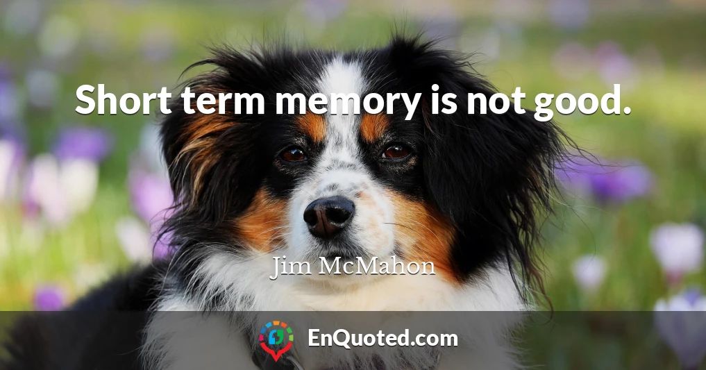 Short term memory is not good.