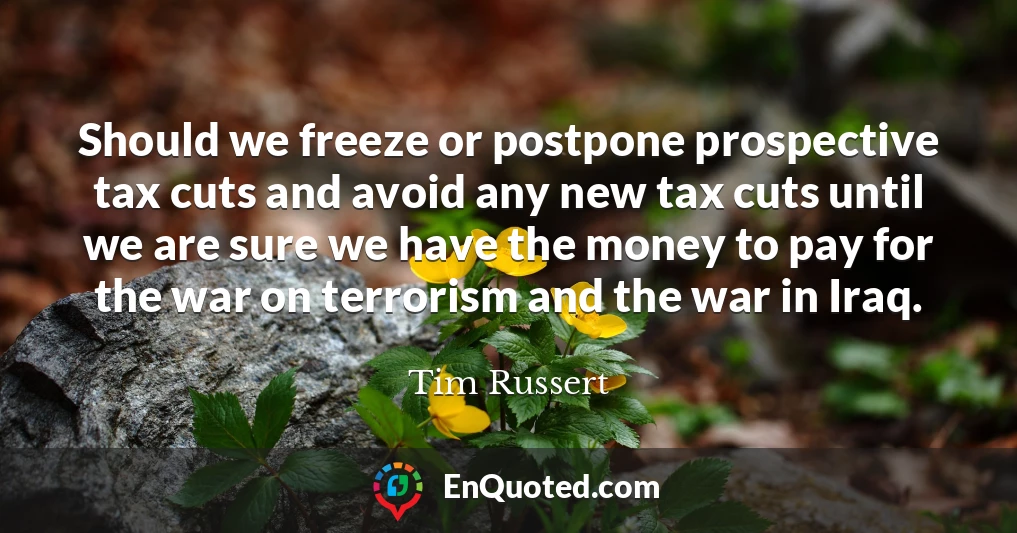 Should we freeze or postpone prospective tax cuts and avoid any new tax cuts until we are sure we have the money to pay for the war on terrorism and the war in Iraq.