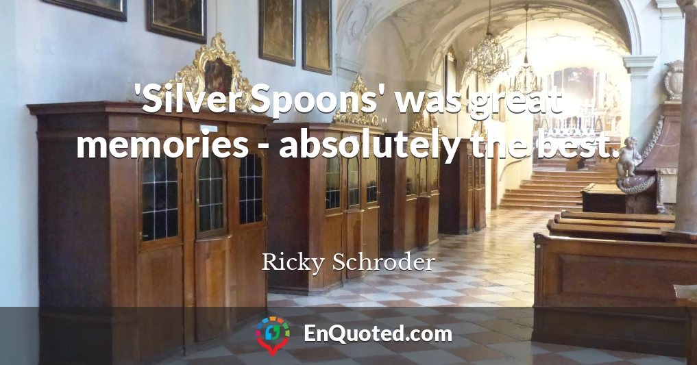'Silver Spoons' was great memories - absolutely the best.