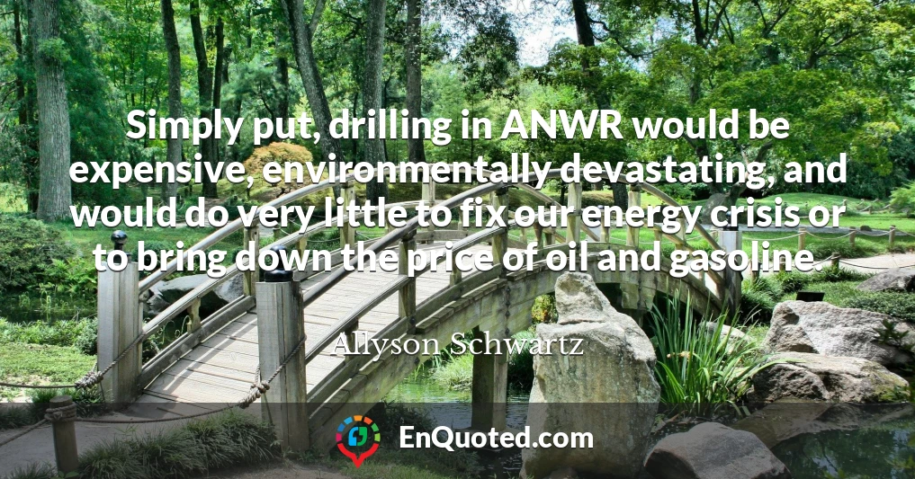 Simply put, drilling in ANWR would be expensive, environmentally devastating, and would do very little to fix our energy crisis or to bring down the price of oil and gasoline.