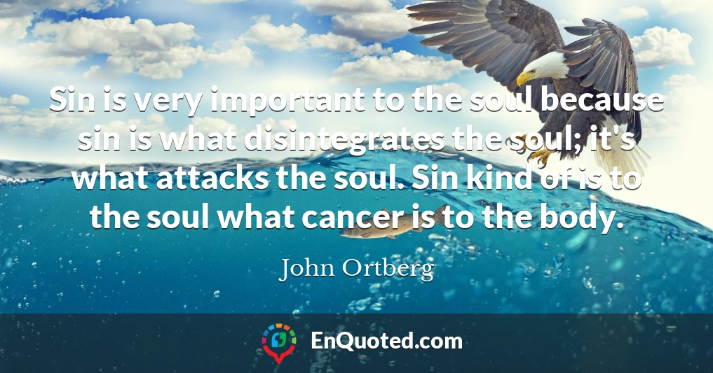 Sin is very important to the soul because sin is what disintegrates the soul; it's what attacks the soul. Sin kind of is to the soul what cancer is to the body.