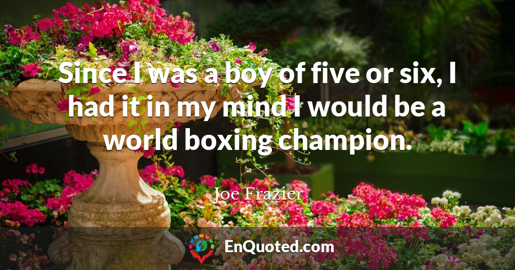 Since I was a boy of five or six, I had it in my mind I would be a world boxing champion.