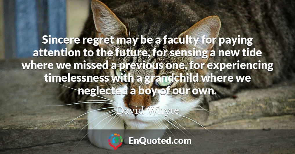 Sincere regret may be a faculty for paying attention to the future, for sensing a new tide where we missed a previous one, for experiencing timelessness with a grandchild where we neglected a boy of our own.