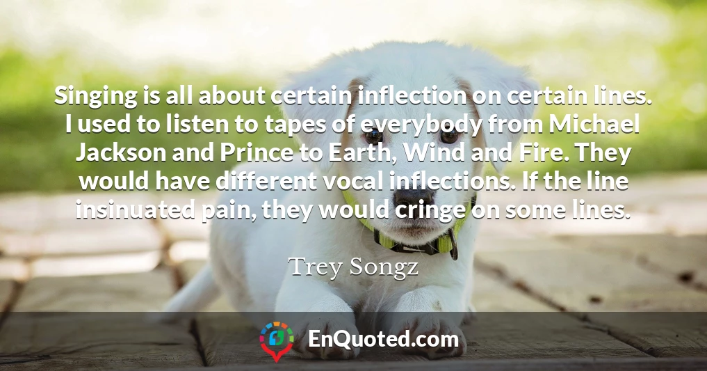 Singing is all about certain inflection on certain lines. I used to listen to tapes of everybody from Michael Jackson and Prince to Earth, Wind and Fire. They would have different vocal inflections. If the line insinuated pain, they would cringe on some lines.