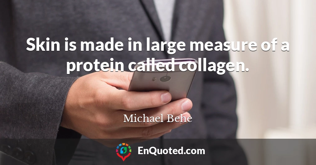Skin is made in large measure of a protein called collagen.