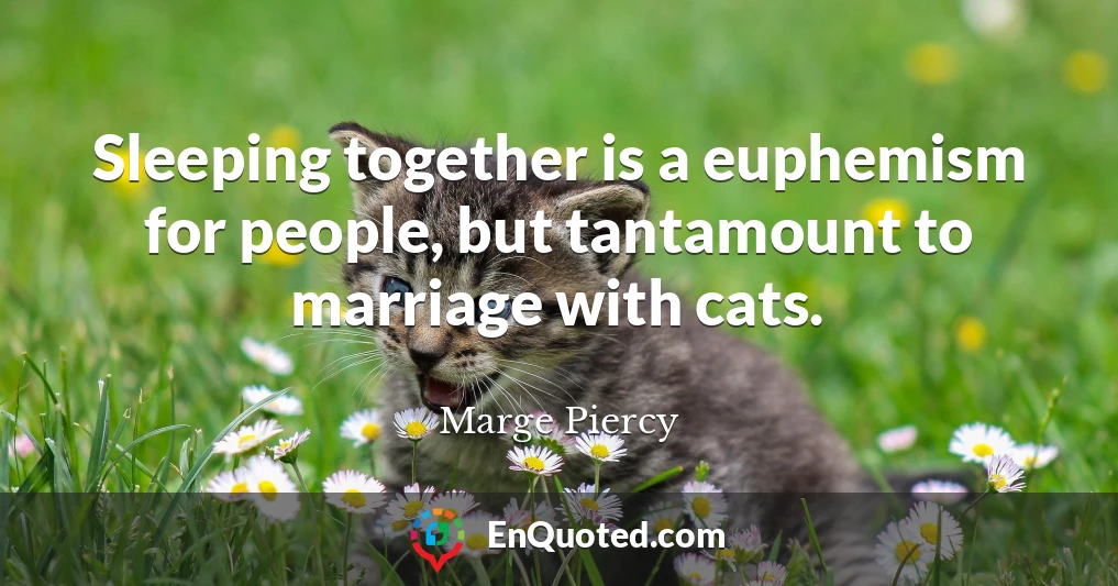 Sleeping together is a euphemism for people, but tantamount to marriage with cats.