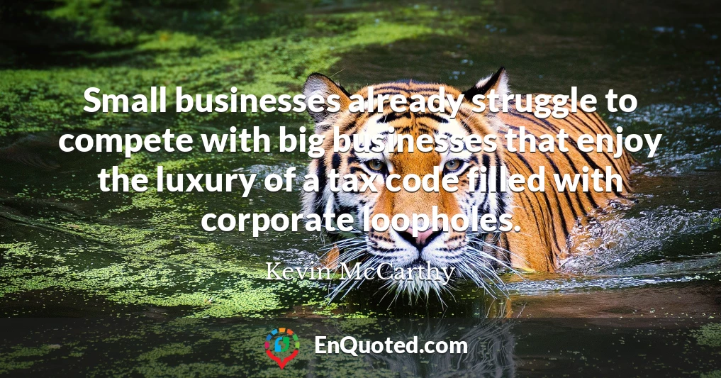 Small businesses already struggle to compete with big businesses that enjoy the luxury of a tax code filled with corporate loopholes.