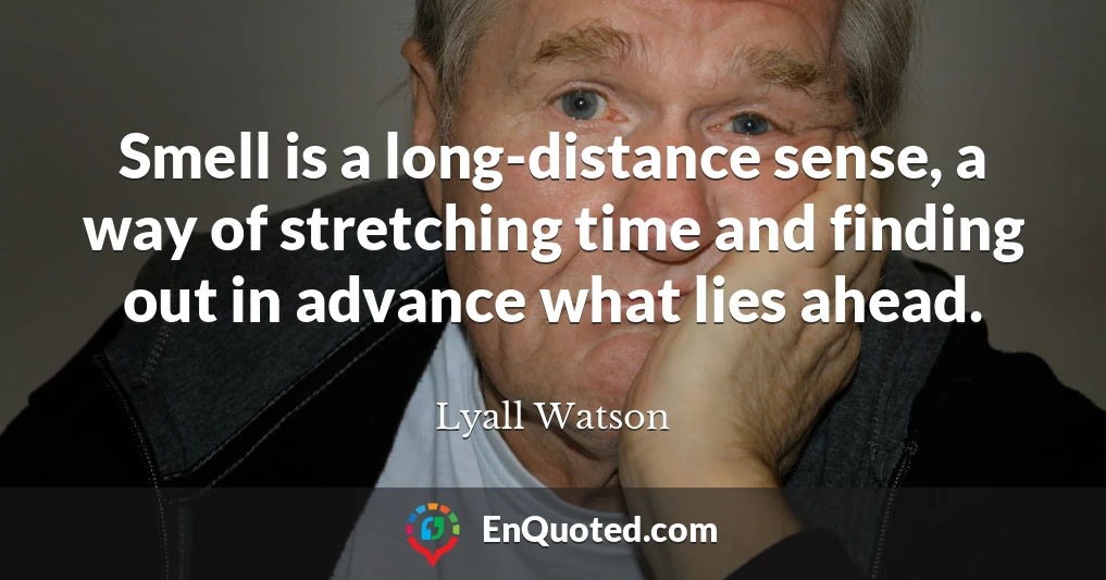 Smell is a long-distance sense, a way of stretching time and finding out in advance what lies ahead.