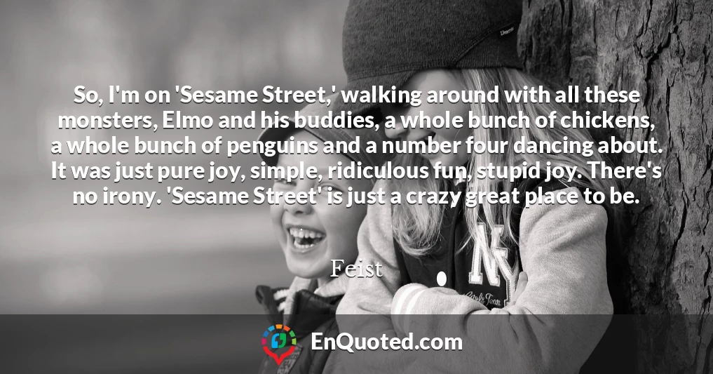 So, I'm on 'Sesame Street,' walking around with all these monsters, Elmo and his buddies, a whole bunch of chickens, a whole bunch of penguins and a number four dancing about. It was just pure joy, simple, ridiculous fun, stupid joy. There's no irony. 'Sesame Street' is just a crazy great place to be.