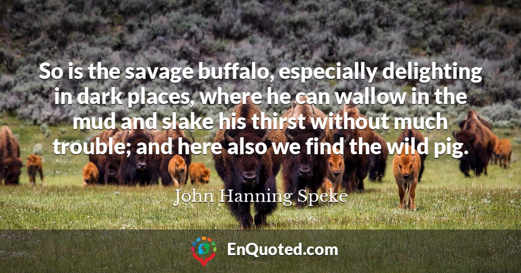 So is the savage buffalo, especially delighting in dark places, where he can wallow in the mud and slake his thirst without much trouble; and here also we find the wild pig.