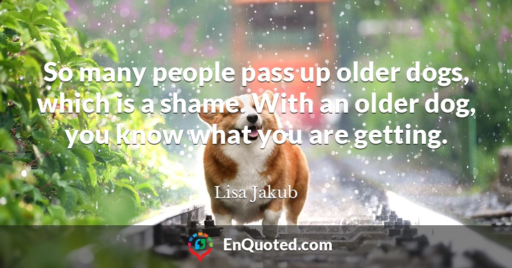 So many people pass up older dogs, which is a shame. With an older dog, you know what you are getting.