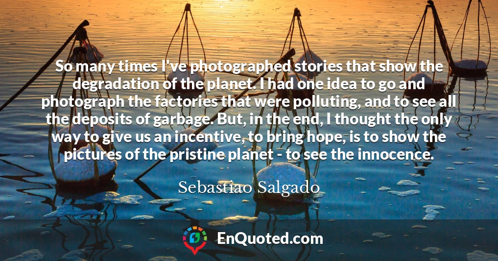 So many times I've photographed stories that show the degradation of the planet. I had one idea to go and photograph the factories that were polluting, and to see all the deposits of garbage. But, in the end, I thought the only way to give us an incentive, to bring hope, is to show the pictures of the pristine planet - to see the innocence.