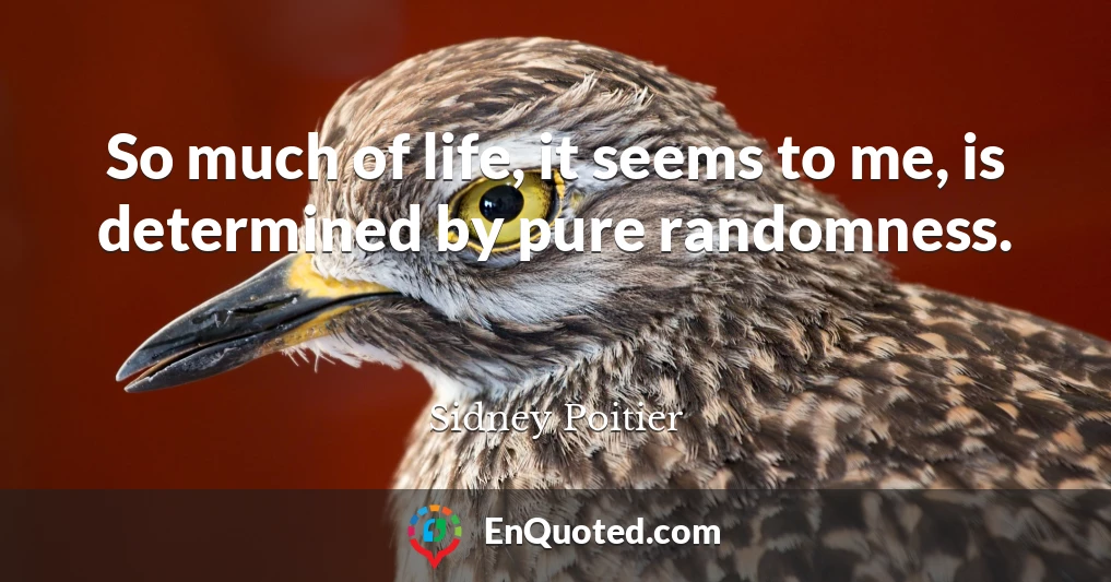 So much of life, it seems to me, is determined by pure randomness.