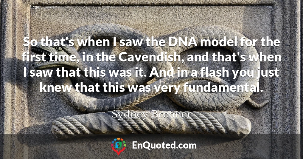 So that's when I saw the DNA model for the first time, in the Cavendish, and that's when I saw that this was it. And in a flash you just knew that this was very fundamental.