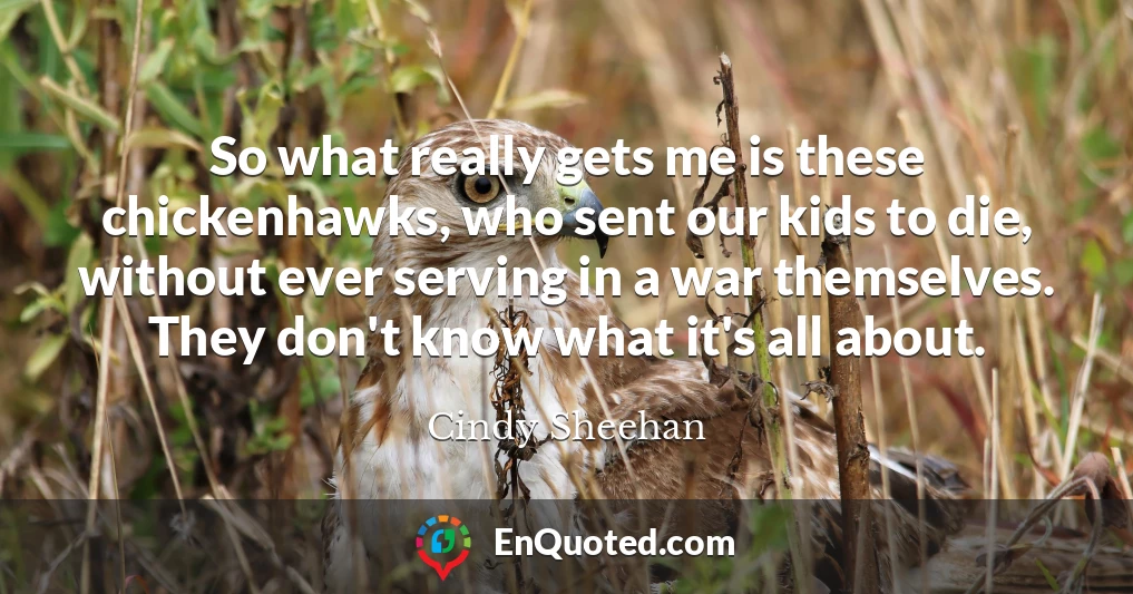 So what really gets me is these chickenhawks, who sent our kids to die, without ever serving in a war themselves. They don't know what it's all about.