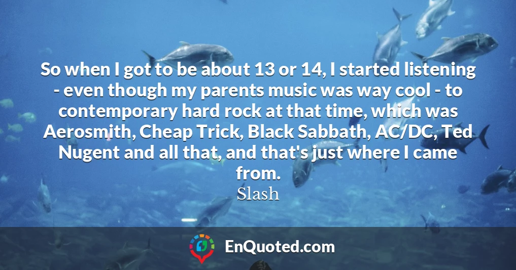 So when I got to be about 13 or 14, I started listening - even though my parents music was way cool - to contemporary hard rock at that time, which was Aerosmith, Cheap Trick, Black Sabbath, AC/DC, Ted Nugent and all that, and that's just where I came from.
