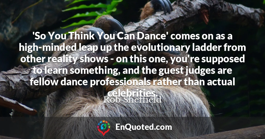 'So You Think You Can Dance' comes on as a high-minded leap up the evolutionary ladder from other reality shows - on this one, you're supposed to learn something, and the guest judges are fellow dance professionals rather than actual celebrities.