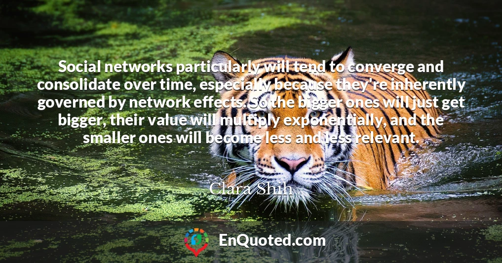 Social networks particularly will tend to converge and consolidate over time, especially because they're inherently governed by network effects. So the bigger ones will just get bigger, their value will multiply exponentially, and the smaller ones will become less and less relevant.