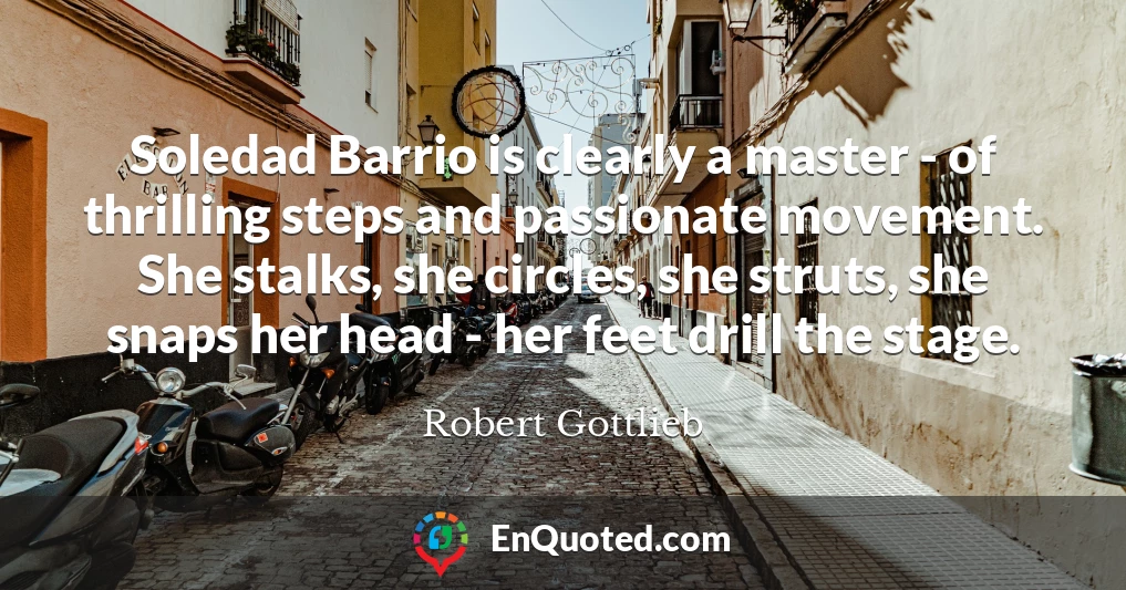 Soledad Barrio is clearly a master - of thrilling steps and passionate movement. She stalks, she circles, she struts, she snaps her head - her feet drill the stage.