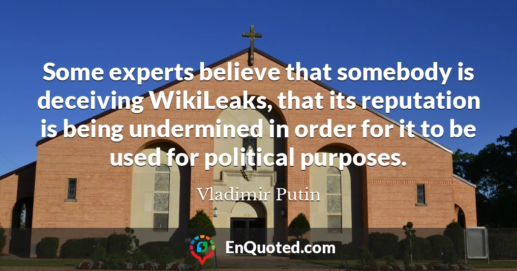 Some experts believe that somebody is deceiving WikiLeaks, that its reputation is being undermined in order for it to be used for political purposes.