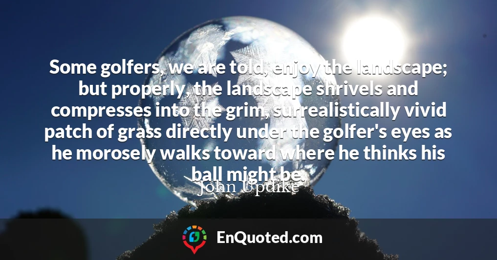 Some golfers, we are told, enjoy the landscape; but properly, the landscape shrivels and compresses into the grim, surrealistically vivid patch of grass directly under the golfer's eyes as he morosely walks toward where he thinks his ball might be.