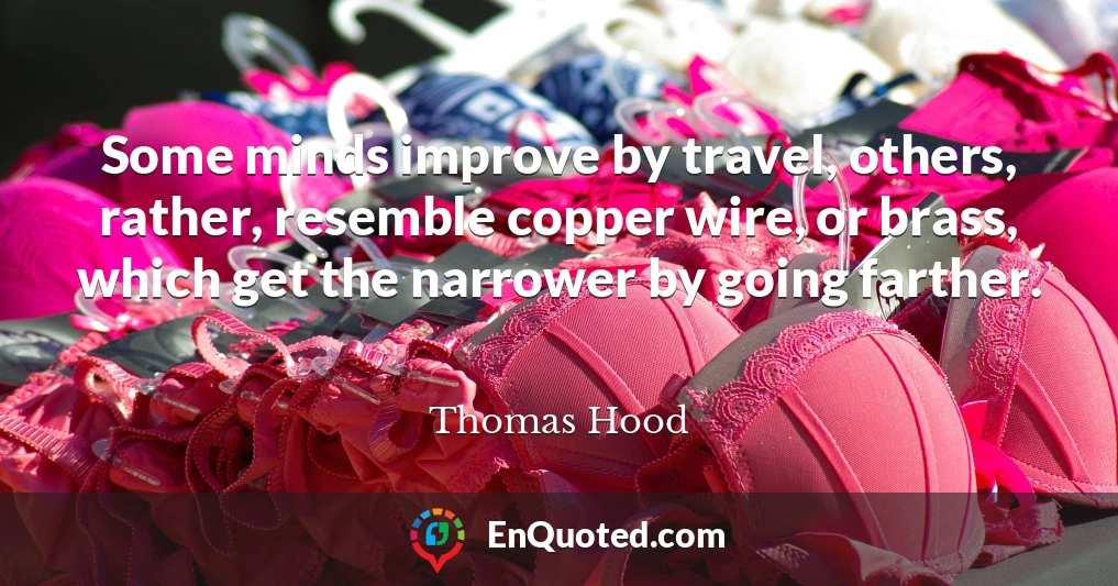 Some minds improve by travel, others, rather, resemble copper wire, or brass, which get the narrower by going farther.
