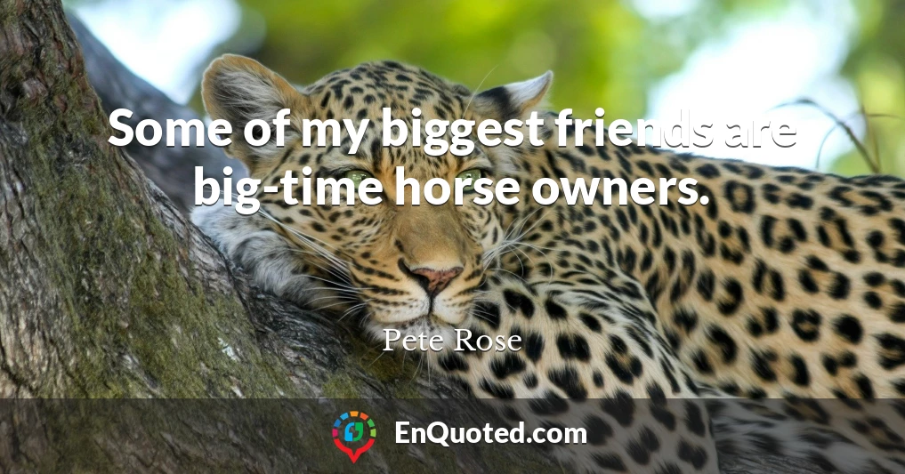 Some of my biggest friends are big-time horse owners.