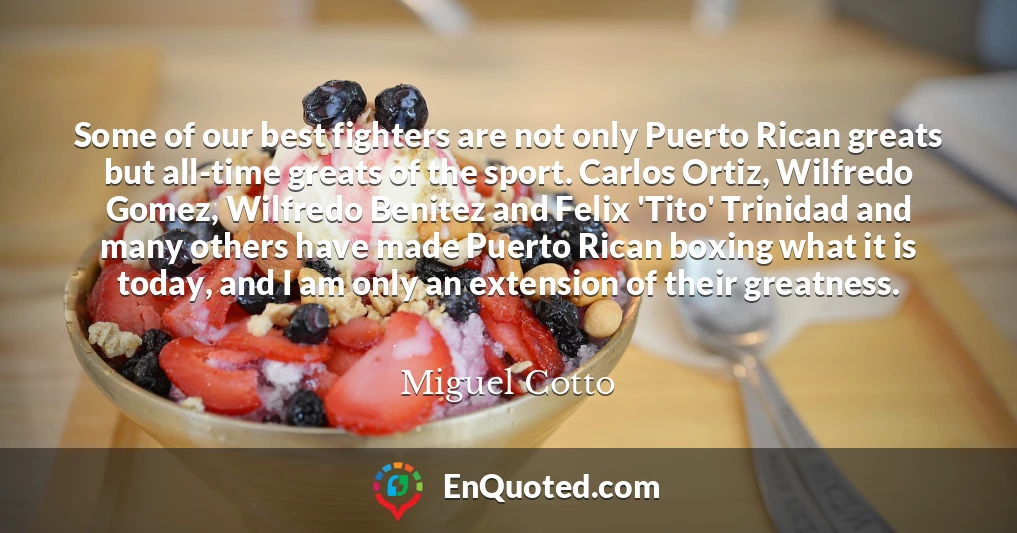 Some of our best fighters are not only Puerto Rican greats but all-time greats of the sport. Carlos Ortiz, Wilfredo Gomez, Wilfredo Benitez and Felix 'Tito' Trinidad and many others have made Puerto Rican boxing what it is today, and I am only an extension of their greatness.