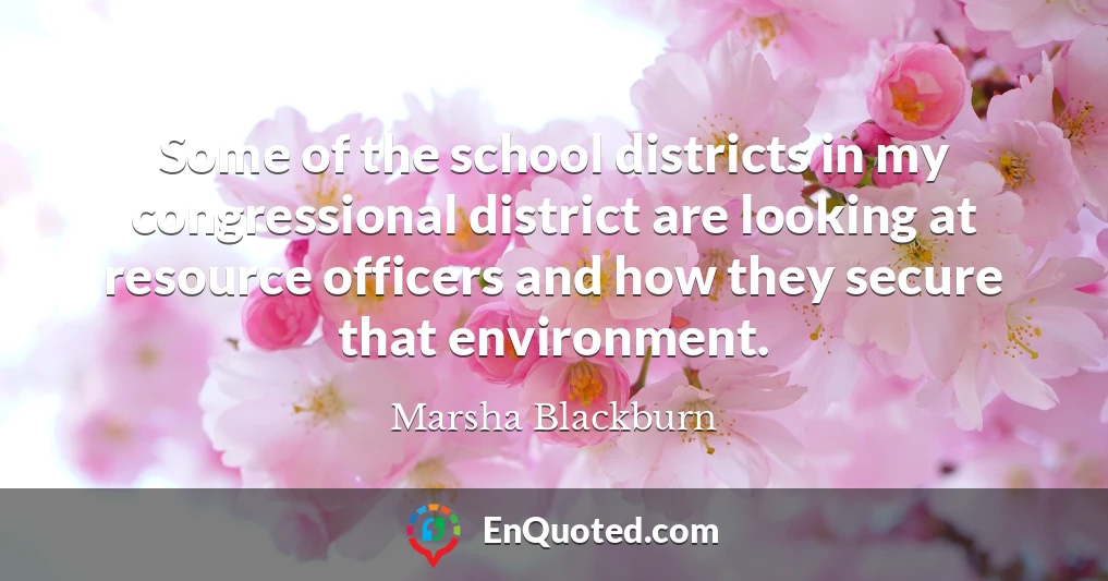 Some of the school districts in my congressional district are looking at resource officers and how they secure that environment.