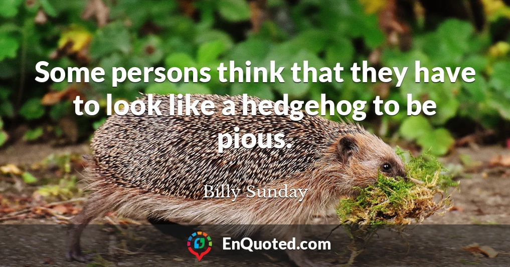 Some persons think that they have to look like a hedgehog to be pious.