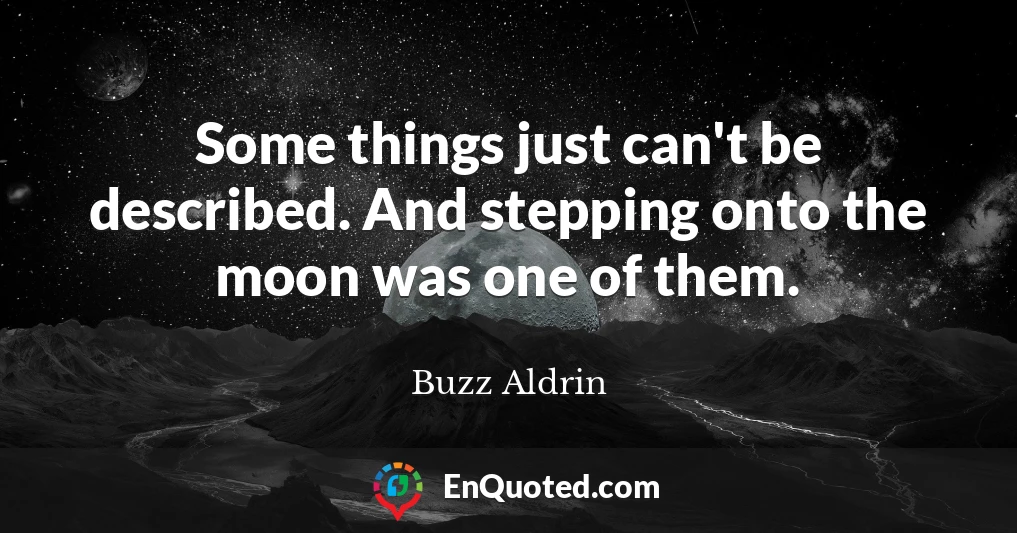 Some things just can't be described. And stepping onto the moon was one of them.