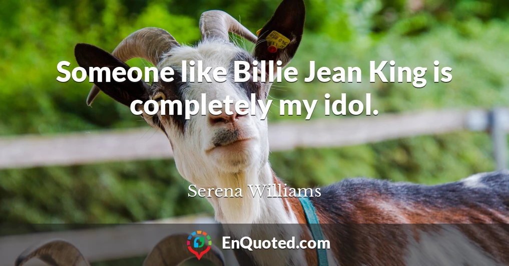 Someone like Billie Jean King is completely my idol.