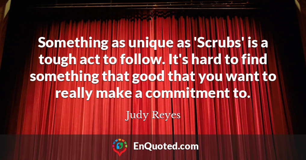 Something as unique as 'Scrubs' is a tough act to follow. It's hard to find something that good that you want to really make a commitment to.