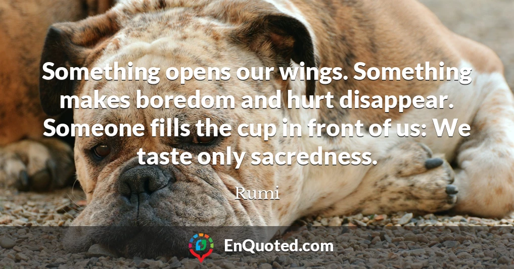 Something opens our wings. Something makes boredom and hurt disappear. Someone fills the cup in front of us: We taste only sacredness.