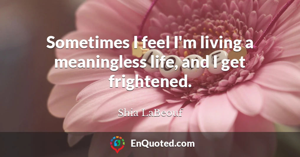 Sometimes I feel I'm living a meaningless life, and I get frightened.
