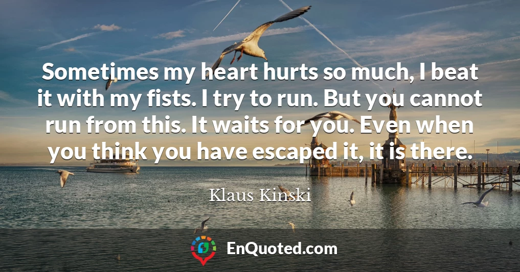 Sometimes my heart hurts so much, I beat it with my fists. I try to run. But you cannot run from this. It waits for you. Even when you think you have escaped it, it is there.