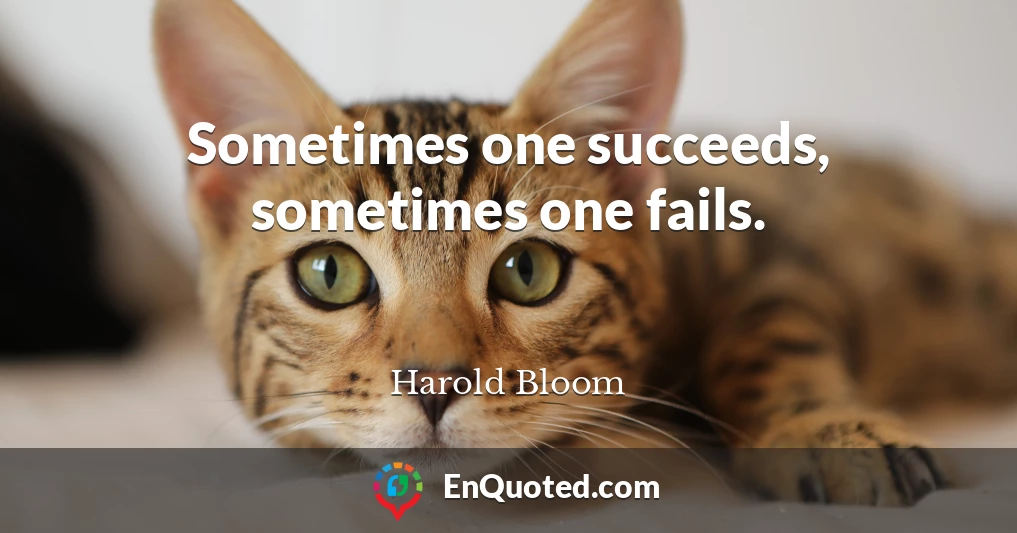 Sometimes one succeeds, sometimes one fails.