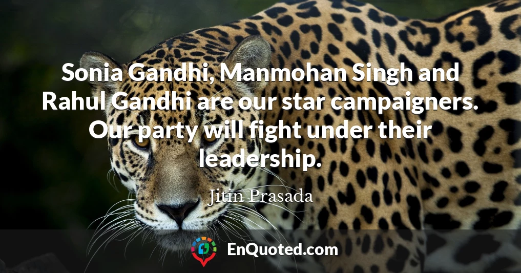 Sonia Gandhi, Manmohan Singh and Rahul Gandhi are our star campaigners. Our party will fight under their leadership.