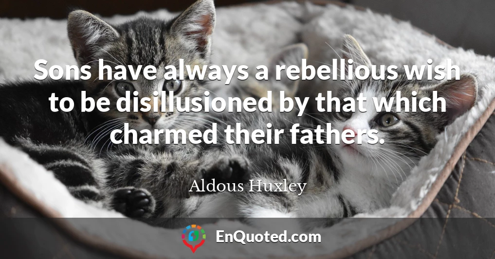 Sons have always a rebellious wish to be disillusioned by that which charmed their fathers.
