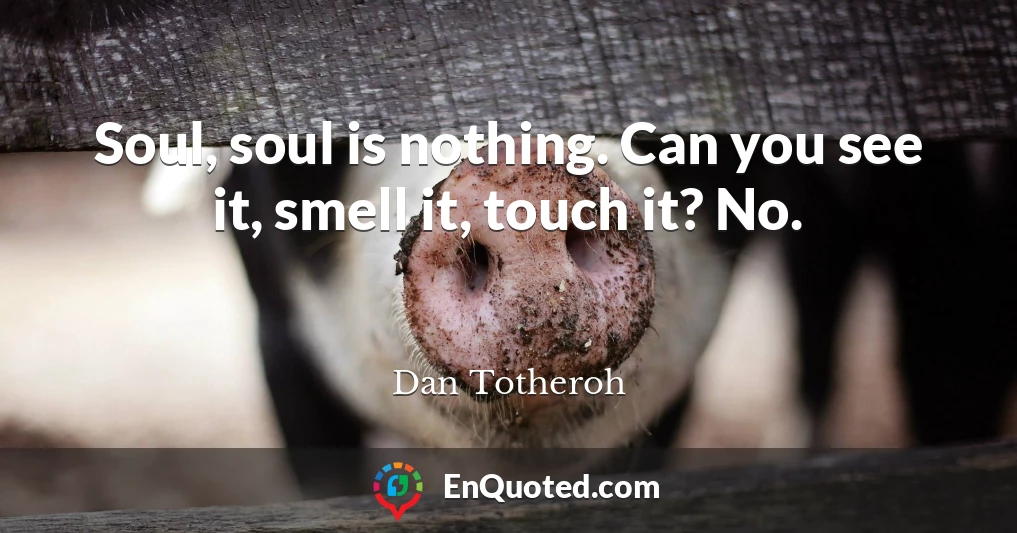 Soul, soul is nothing. Can you see it, smell it, touch it? No.