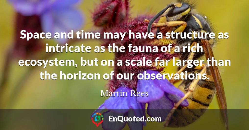 Space and time may have a structure as intricate as the fauna of a rich ecosystem, but on a scale far larger than the horizon of our observations.