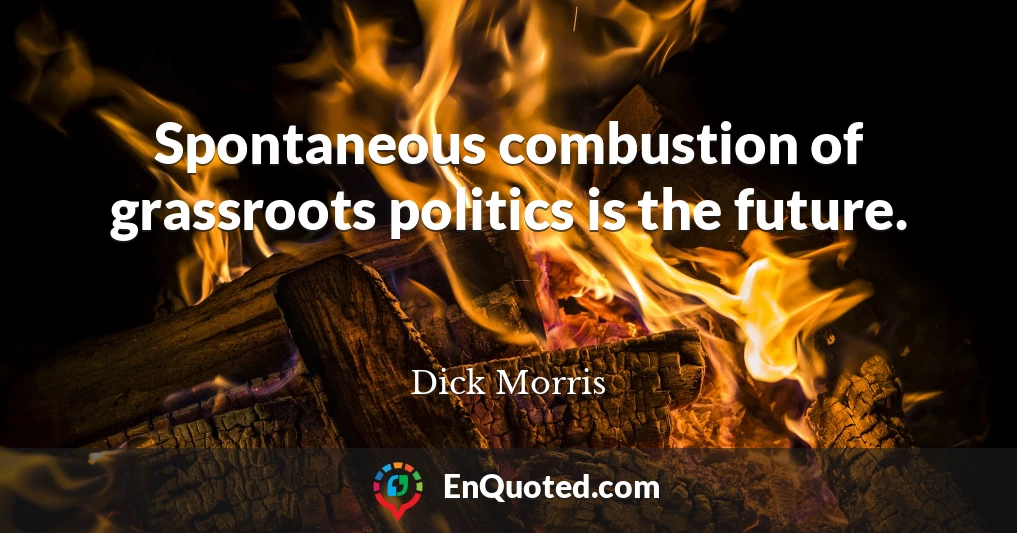 Spontaneous combustion of grassroots politics is the future.