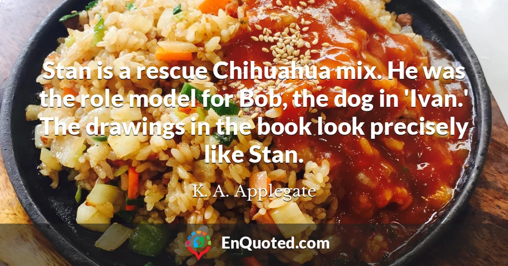 Stan is a rescue Chihuahua mix. He was the role model for Bob, the dog in 'Ivan.' The drawings in the book look precisely like Stan.