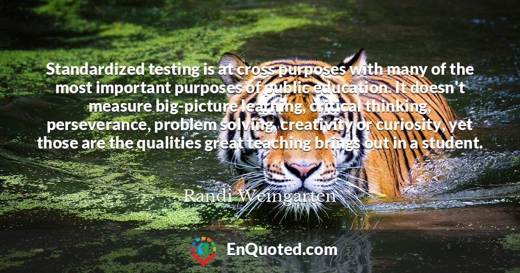Standardized testing is at cross purposes with many of the most important purposes of public education. It doesn't measure big-picture learning, critical thinking, perseverance, problem solving, creativity or curiosity, yet those are the qualities great teaching brings out in a student.