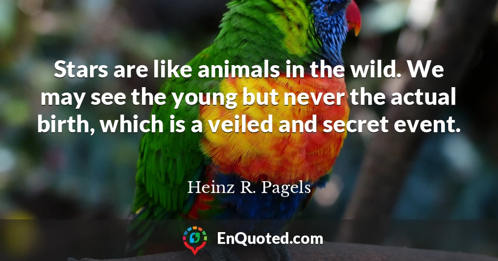 Stars are like animals in the wild. We may see the young but never the actual birth, which is a veiled and secret event.