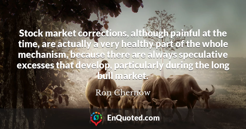 Stock market corrections, although painful at the time, are actually a very healthy part of the whole mechanism, because there are always speculative excesses that develop, particularly during the long bull market.