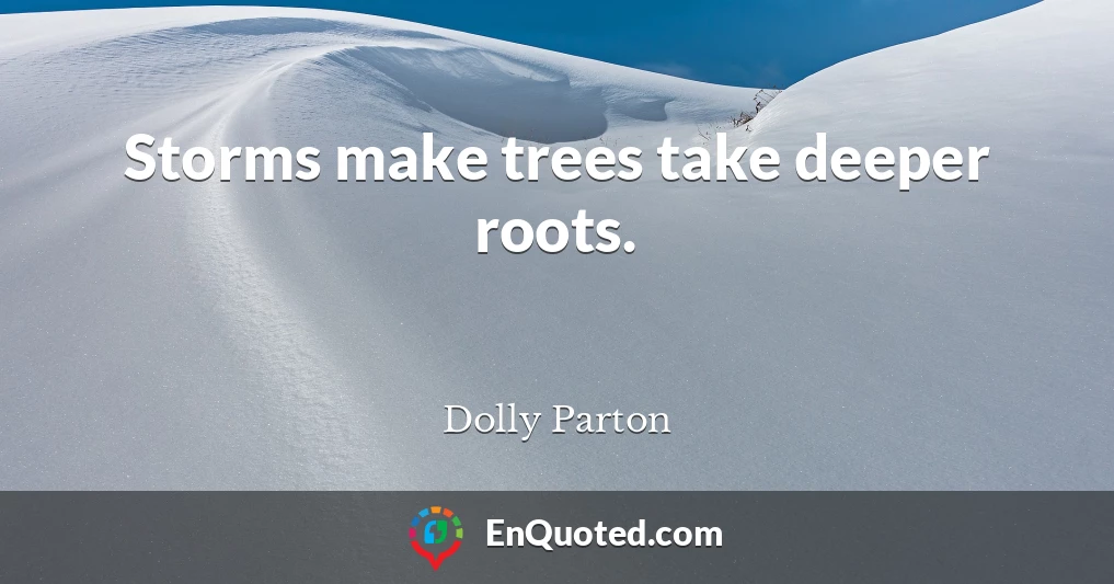 Storms make trees take deeper roots.