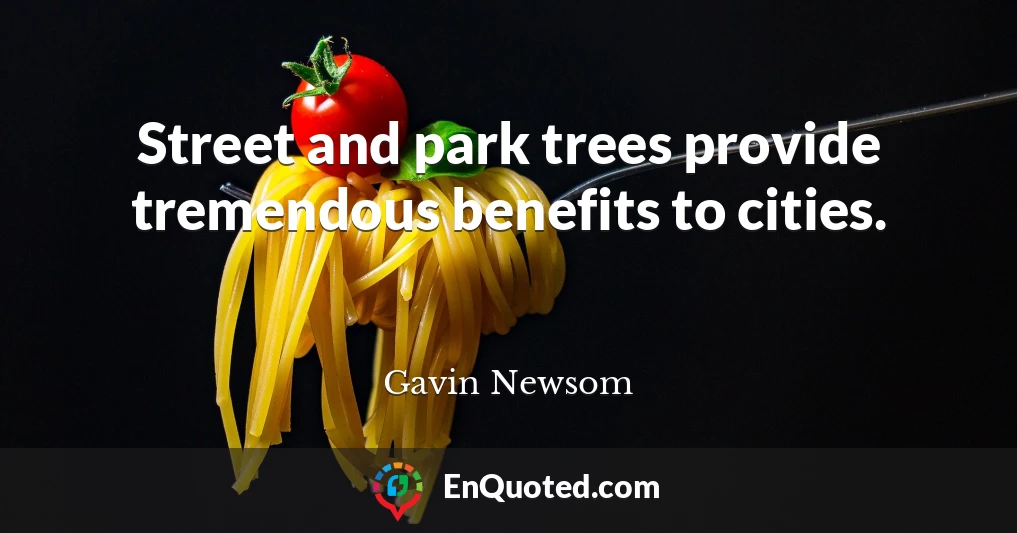 Street and park trees provide tremendous benefits to cities.