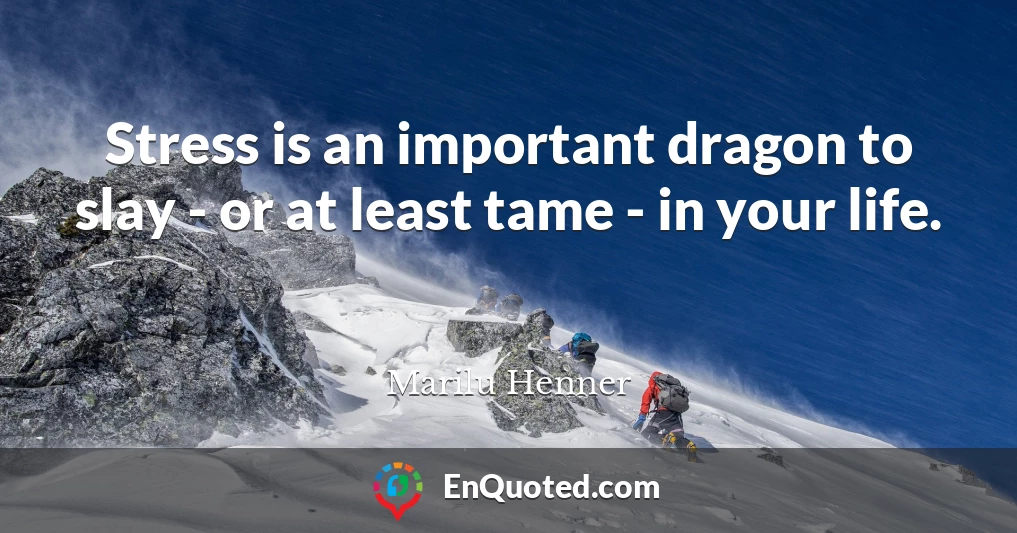 Stress is an important dragon to slay - or at least tame - in your life.