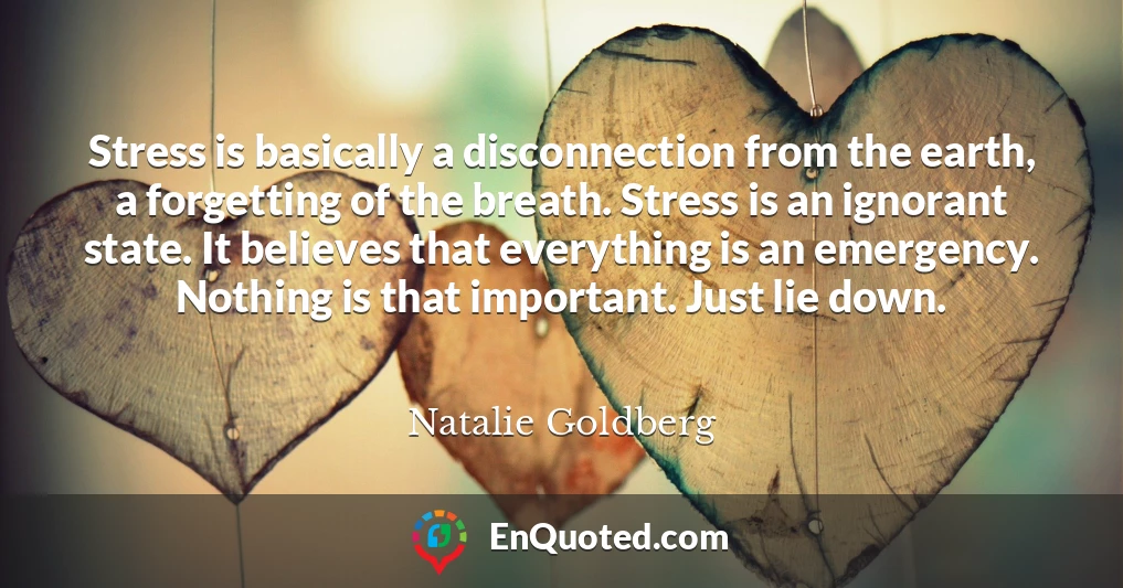 Stress is basically a disconnection from the earth, a forgetting of the breath. Stress is an ignorant state. It believes that everything is an emergency. Nothing is that important. Just lie down.
